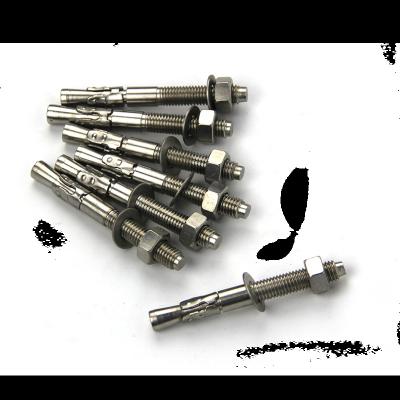 China Chinese Stainless Steel Wedge Anchor Steel Fasteners for sale