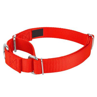 China Great New Designed Metal Viable Nylon Buckle Dog Martingale Dog Collars Dog Collars for sale