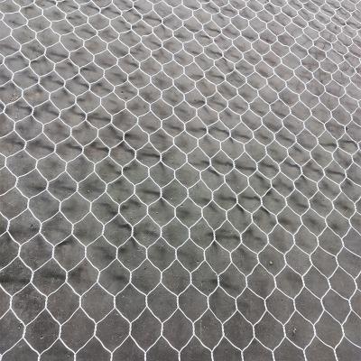 China Fence Double-Twisted Hexagonal Wire Mesh Galvanized Hexagonal Wire Netting Chicken Wire Mesh 25mm Mesh Size for sale