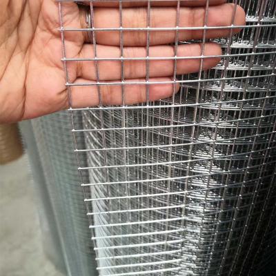 China Fence Excellent Fence Steel Wire Mesh / Steel Galvanized Welded Wire Mesh for sale