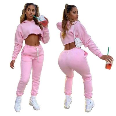 China Breathable Private Label Hoodie And Customized Logo Pants 2 Piece Womens Womens Set Tracksuit for sale