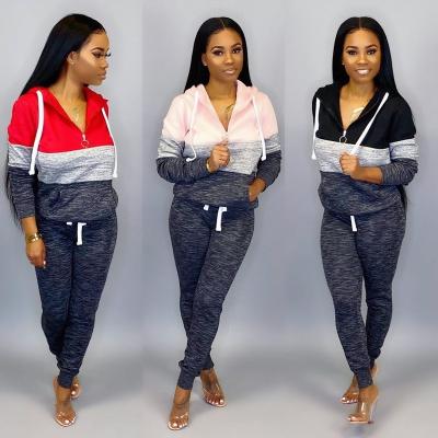 China QUICK DRY Winter Autumn Casual Long Sleeve Sweatpants And Hoodie Set Women Clothing Equipments Two Piece Set for sale