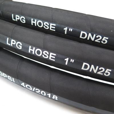 China Liquefied Petroleum Gas CE Approved High Quality Replacement LPG Gas Hose Kit for sale