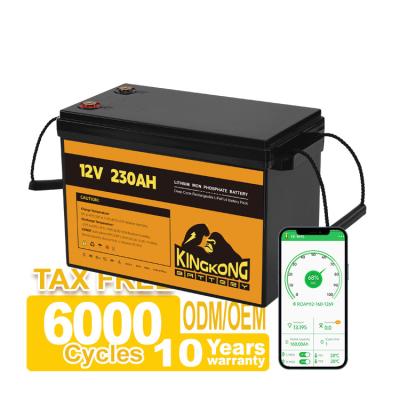 中国 パワーツール OEM ODM 12.8V 100ah 200ah 300ah リチウムバッテリーパック 12V APP制御付き 販売のため