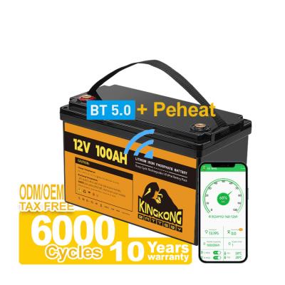 China OEM ODM 12V 100Ah LiFePO4 batterij voor Solar RV Caravan Marine In de VS Duitsland Verenigd Koninkrijk Canada Te koop