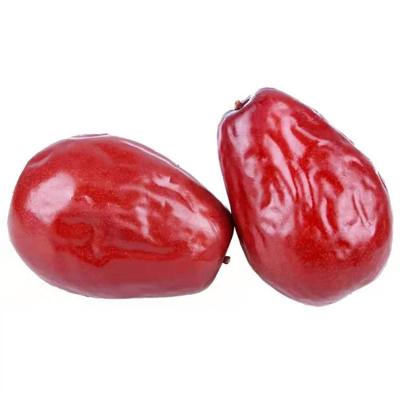 China Wholesale Hot Sale Organic Dried Jujube Porcelain Red Dates for sale