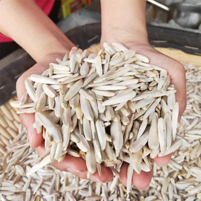 China Wholesale Toothpick Melon Seed Hybrid Chinese Sunflower Seeds For Planting for sale