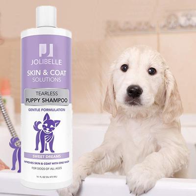 China Small Animals Private Label OEM Solutions For Dogs Cats Improves Skin Coat With Wash Formulated Pet Puppy Shampoo Conditioner for sale