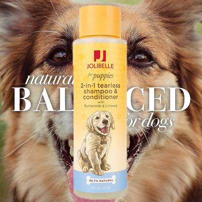 China Sustainable Private Label Organic 2 in 1 Dog Wash Shampoo & Conditioner Puppy Bees Supplies Pamper Grooming Shampoo for sale