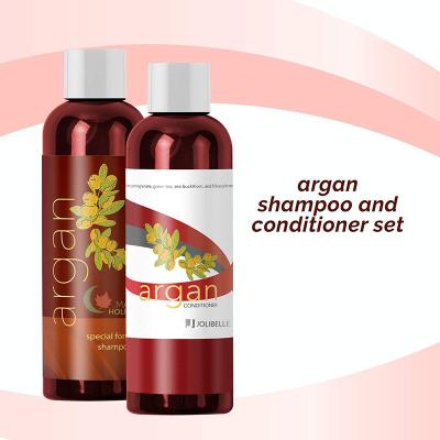 China Color-protecting Argan Oil Shampoo And Conditioner custom made natural cheap for dry damaged hair for sale