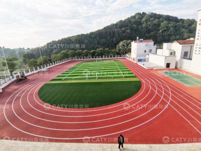 China Sports Surface Supplier ESP Seamless Prefabricated Running Track for sale