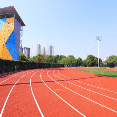 Cina Pista da corsa in gomma da atletica semifabricata Yuuz Esp certificata WA SGS con installazione automatica in vendita