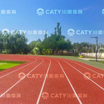 China High-Performance Prefabricated Running Track EPDM Rubber Granule Spray Coating Seamless Surface for sale