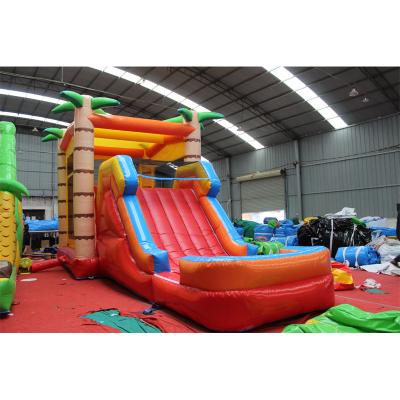 China IRISI PVC Blow Up Castles Adult Commercial Inflatables Water Slide Bouncy Castle Jumping Combined Bounce House for sale