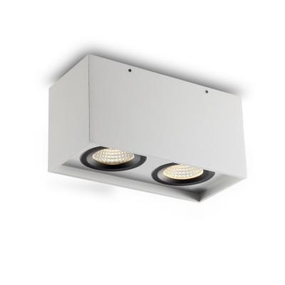 China Double Square Head COB 2X5w Outdoor Mounted Indoor Led Outdoor Ceiling Light for sale