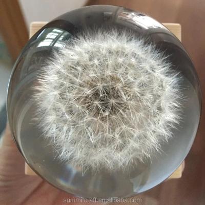 China Gift Real Dandelion Paperweight Wooden Wedding Favors Music Box for sale