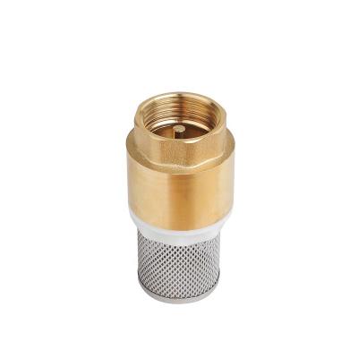 China General Brass Check Valve With SS Net Plumbing No Water Return Valve for sale