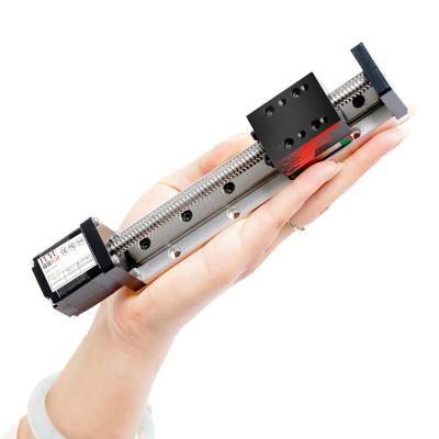 China Hotels Guide Light Weight Motorized Linear Rail Small Guide Actuator With Stepper Motor for sale