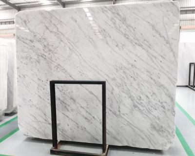 China Cheap Modern Gray Veins White Marble Slab From China Carrara Guangxi for sale