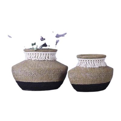 China Pastoral Cheap Fringed Concrete Flower Pot Garden Decoration Black Cement Lavender Bottom Floor Planter for sale