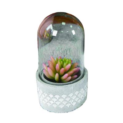 China Europe High Quality Indoor Decor Concrete Planter Flower Pot With Glass Cover for sale