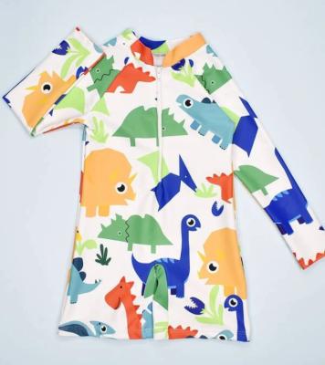 China 2020 Dinosaur Boys Swimwear Anti-UV Printed Front Guard One Piece Long Sleeve Zipper Children Swimwear UPF50+ for sale