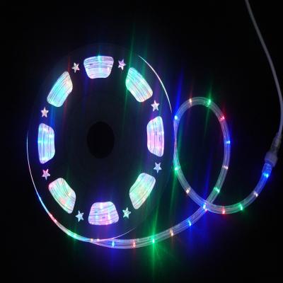 China 220v 110v 24v 12v Waterproof Led Rainbow Rope Light Holiday Rope Christmas Light Solid and Strong Outdoor Decoration for sale