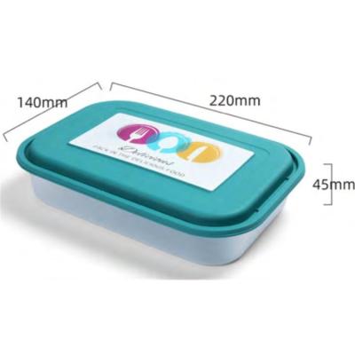 China Wholesale Food Packaging Disposable Desgin Containers Manufacturer Sushi Box PP Disposable Lunch Box for sale