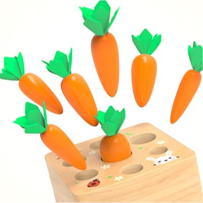 China Wooden Toy Montessori Factory Price Kids Funny Educational Carrot Wooden Toy Educational Kids for sale