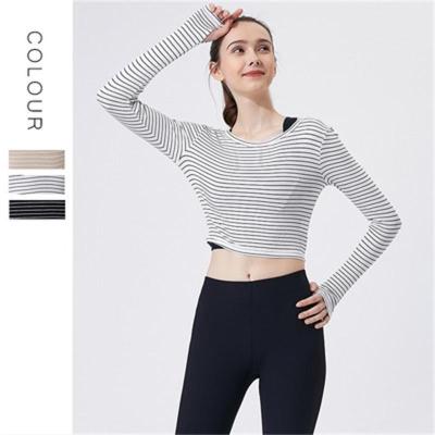 China Breathable Women Seamless Long Sleeve Crop Tops Stretch Yoga Sport Shirts Order Comfortable Workout Gym Slim Fit Support Off Shoulder for sale