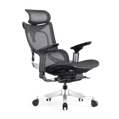 China (Size) BROBRIYO Adjustable Full Mesh Ergonomic Office Chair With High Back For Elite IT Executive Swivel Sillas De Oficina With KILOGRAMS 4 Gas Lift for sale