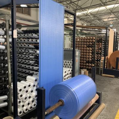 Cina Pp Woven Sacks Fabric Rolls Polypropylene Coated Woven Fabric Sheet Factory in vendita