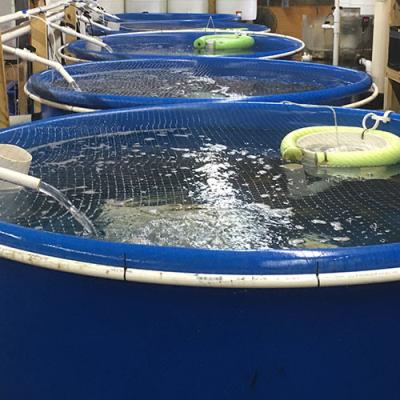 中国 Corrugated Sheet High Density Tarpaulin Water Tank For Fish Aquaculture Farm Pond 販売のため