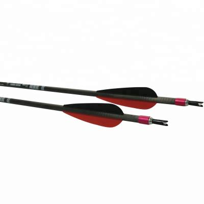 China Shooting Archery Shooting Sports Screw Point 3 Inch Paddles Pure Carbon Arrow for sale