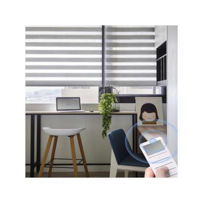 China 1PC MOQ Modern Smart Home Used High Quality Zebra Blinds Motor For Windows Decor Blind Motorized Shades for sale