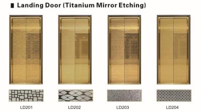 중국 강한 엘리베이터 예비 품목 황금 스테인리스 엘리베이터 문은 훈장을 주문을 받아서 만들었습니다 판매용