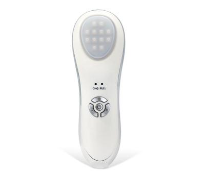 China Skin Care Whitening Led Light Therapy Machine Hand Facial Spa Tools for sale