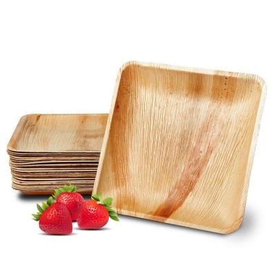 China Best Selling Disposable Biodegradable Wooden Bamboo Dishes 10 Inch Square Areca Palm Leaf Dishes for Corporate Events for sale