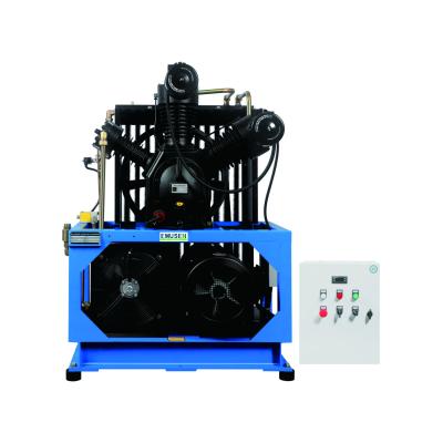 China China Mpa OIL-LESS Emusen Popular Products Middle Pressure Piston Air Compressor 2.2 m^3/min 3.0 22 Kw for sale