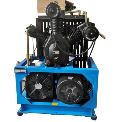 China OIL-LESS Food and Medical Instrument Industry Use 30 Bar 22 Kw 2.2 m^3/min Two Stage Piston Air Compressors for sale