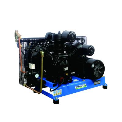 China OIL-LESS ODM Made In China Chemical Industry Use Piston Air Compressors 30 Bar 1m^3/min 22 Kw for sale