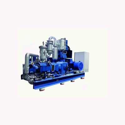 China Hot Selling Multifunctional Stable Oil Free Products Air Compressor Rotary Oil Free Parts for sale