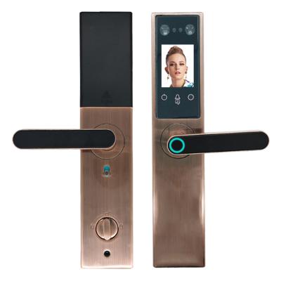 China 40-120 Smart Electric Door Lock Palm Print Door Lock Anti-theft Villa Access Control Home Door Lock Face Recognition Home Door Lock for sale