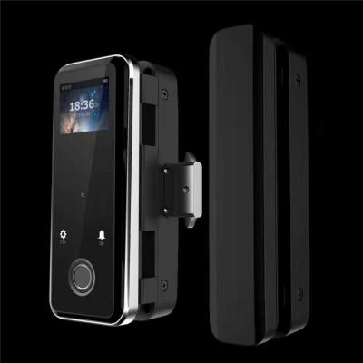 China Digital Aluminum Alloy Sliding Door Lock Fingerprint Glass Smart Handle for sale