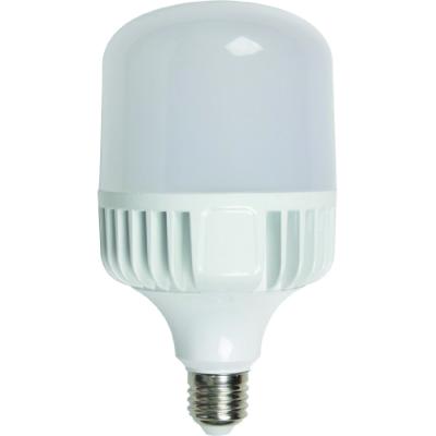 China Indoor lighting t led bulb led type t bulb india 20w 30w 40w for sale