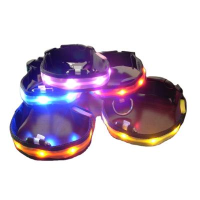 China Hot sales wholesale lights led dog collar factory dog ​​collar rechargeable dog led collar for sale