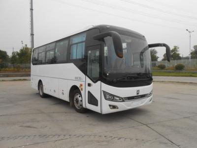 China Ônibus elétrico de visitação de 10-34 lugares de porta única com design de luxo personalizável à venda