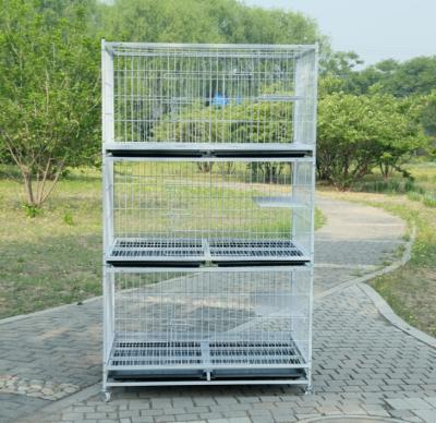 China Cat House Cat Kennels Breathable Easy Installing Cat Cages Galvanized Steel Pet Kennels for sale