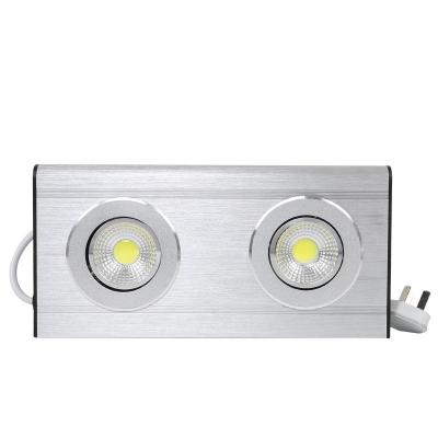 China Emergency Light COB2*3W Double Headlamp Brushed Aluminum Embedded Emergency Light Exit Lighting Indicator for sale