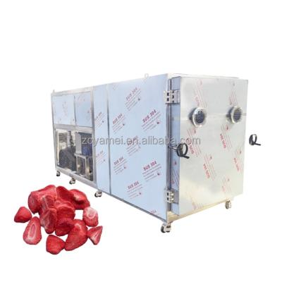 China Freeze Drying Industrial Vacuum And Drying Food Vacuum Equipment With High Capacity for sale